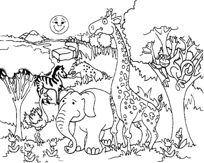 Forest animals coloring pages for kids