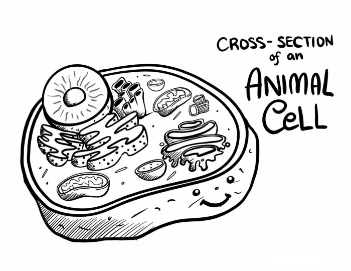 Science is real animal cell coloring page