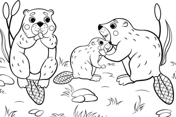 Coloring book pages to print animals