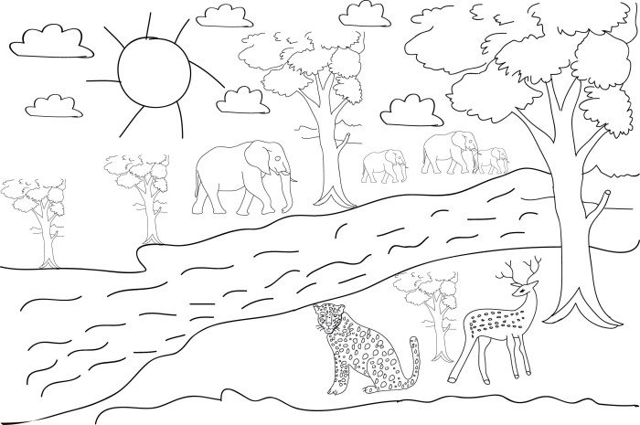 Forest animals coloring pages for kids