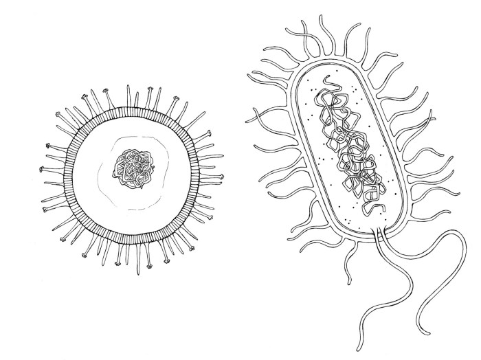 Bacteria on fire dieing drawing easy