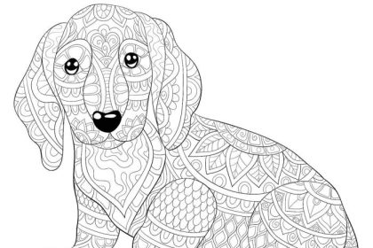 Free animal print coloring pages