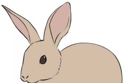 Easy bunny rabbit drawing