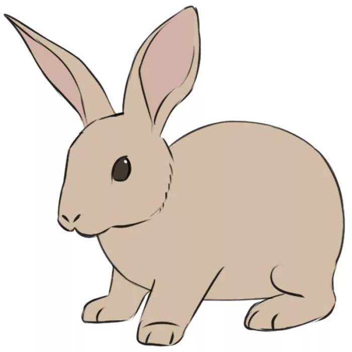 Easy bunny rabbit drawing