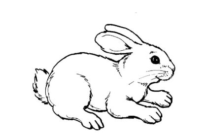 Free coloring pages of animals to print