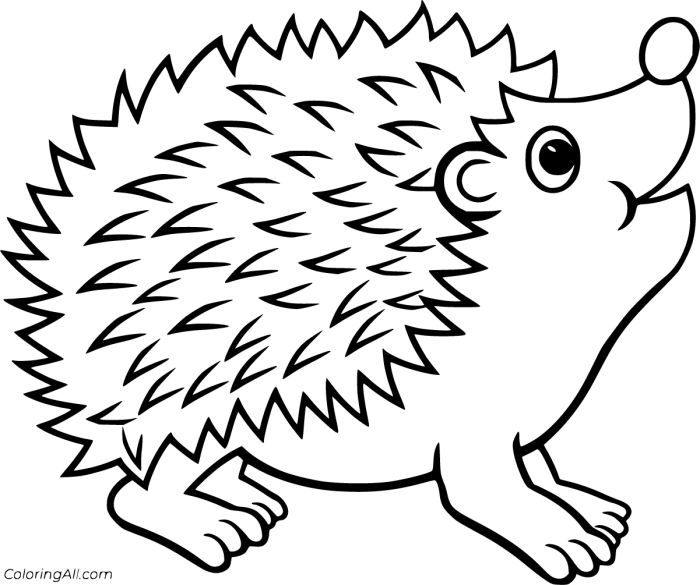 Decorative animal hedghog coloring pages