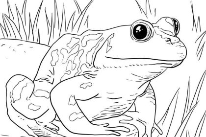 Detailed animal printable coloring pages for children