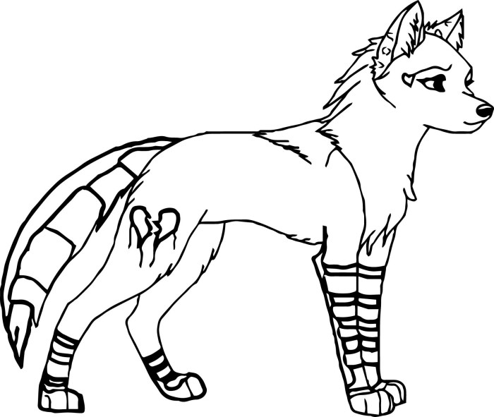 Coloring pages foxe anime