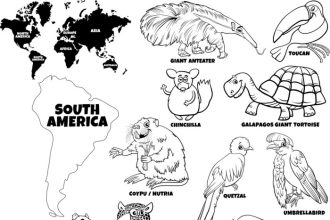 Animals of south america coloring pages