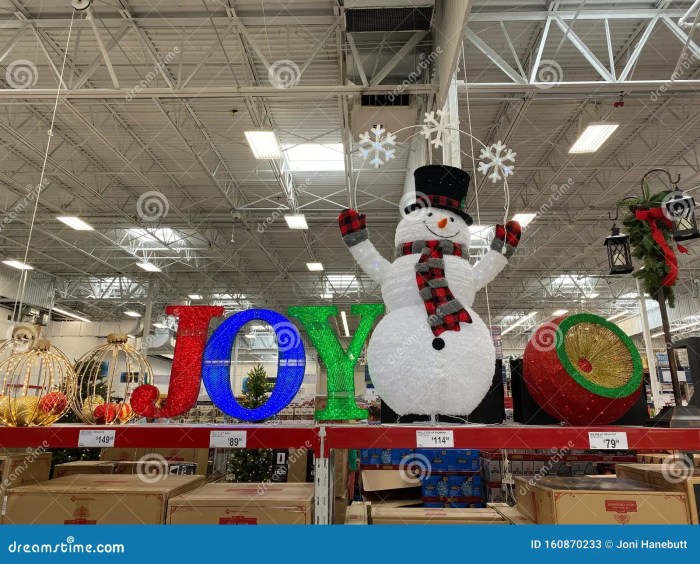 Christmas decor sam's club