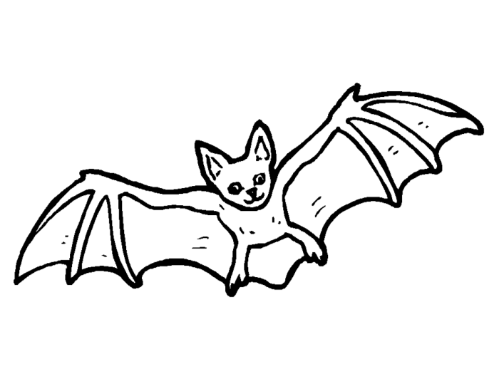 Fruit bat drawing easy head