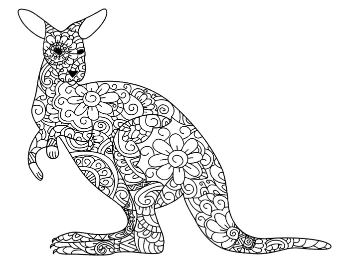 Coloring pages cute animals kangroo