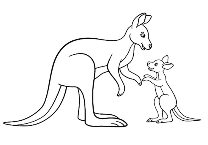 Coloring pages cute animals kangroo