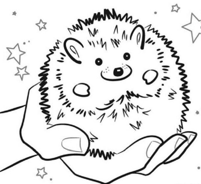 Decorative animal hedghog coloring pages