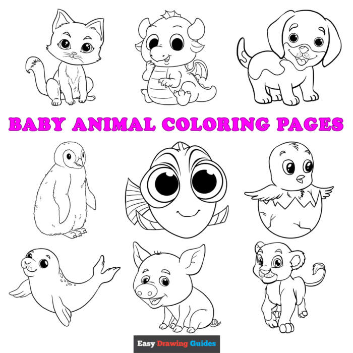 Cut baby animal coloring pages