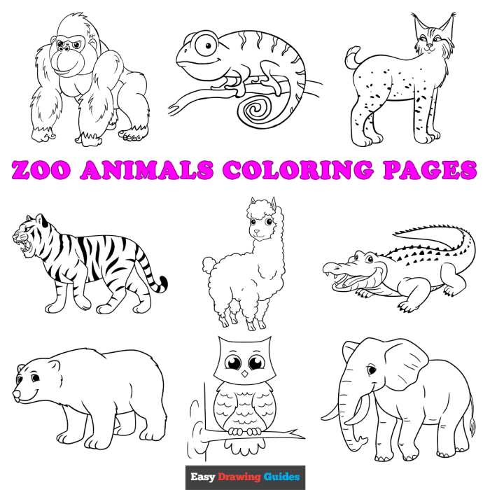 Coloring page animals easy