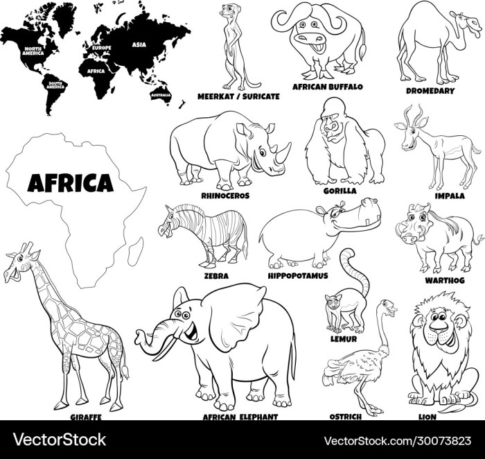 Coloring pages african animals