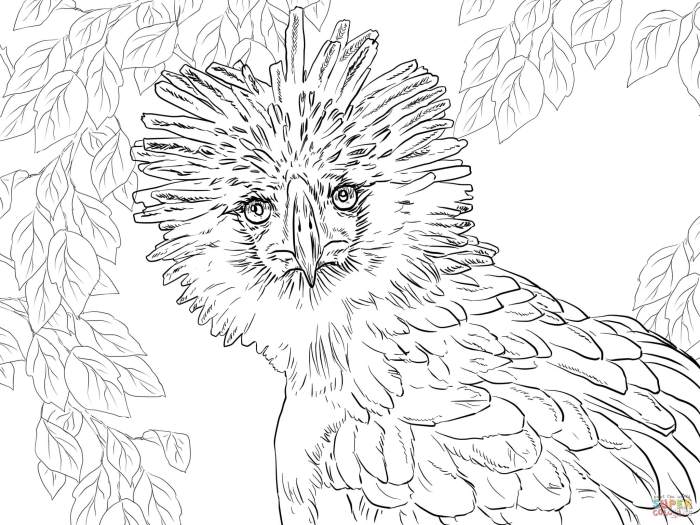 Coloring pages endangered animals species fresh getcolorings print getdrawings printable color colorings