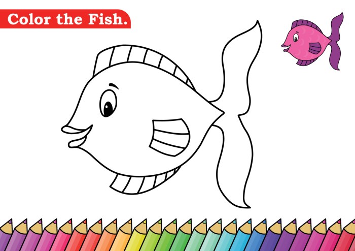 Everyone loves coloring animals fish colored