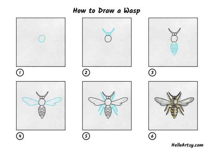 Easy drawing of a braconid wasps