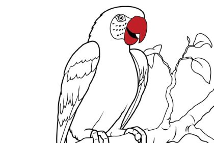 Coloring pages for girls animals parrot