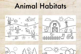 Coloring pictures of animals and their homes