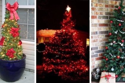 Outdoor christmas decor trees