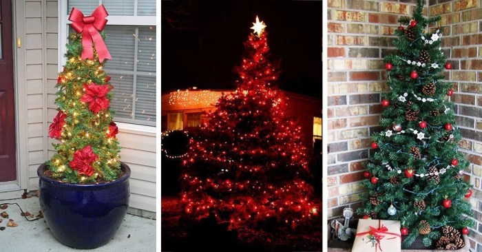 Outdoor christmas decor trees