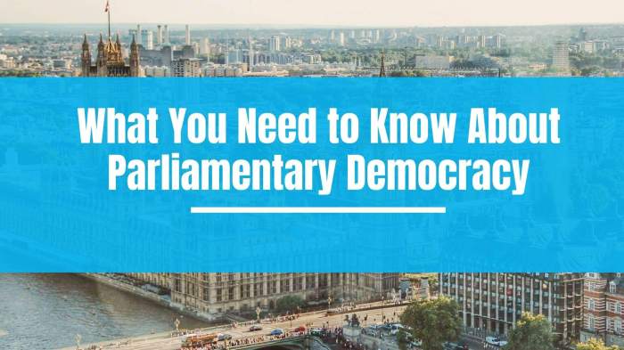 Parliamentary democracy easy drawing