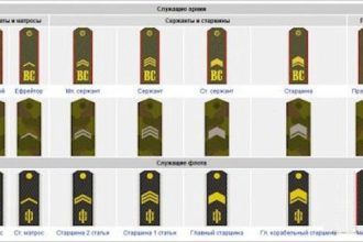 Table of ranks russia easy drawing example