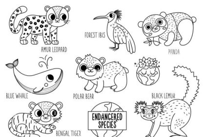 Endangered animals coloring sheets