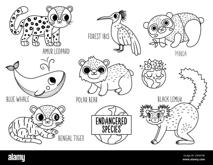 Endangered animals coloring sheets