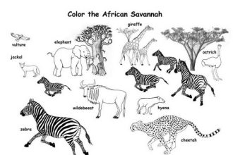 African safari animal coloring pages